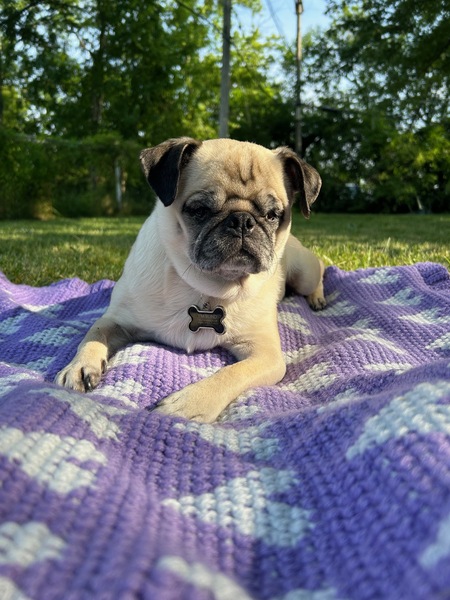 Maggie
