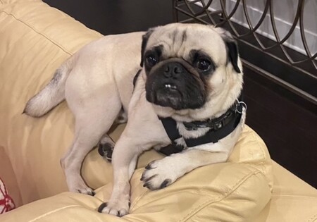 Jack