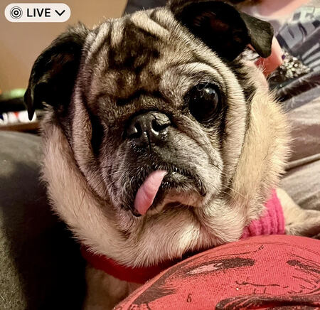 Zoey