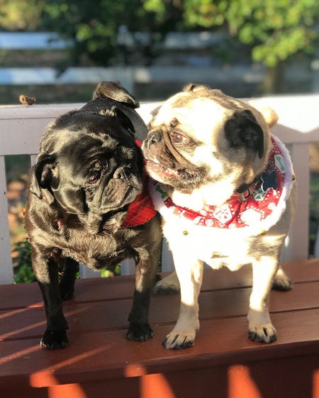 Martha & Maggie