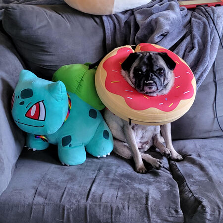Vito