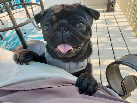 Rico