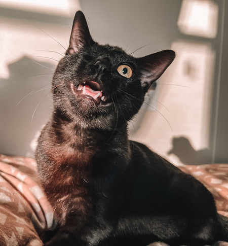 Binx
