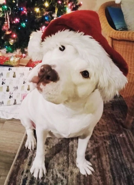 Daisy Mae