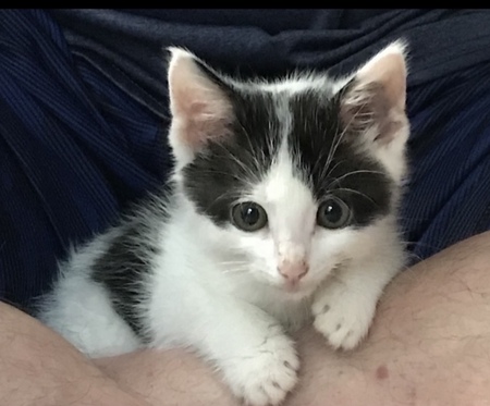 Bruce 
