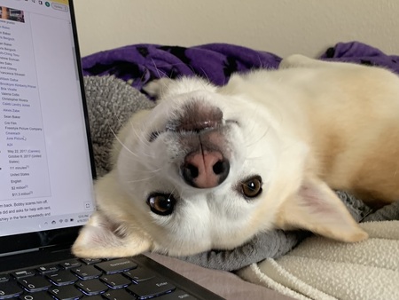 Luna