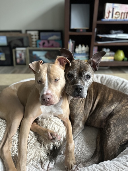Flora and Elsa