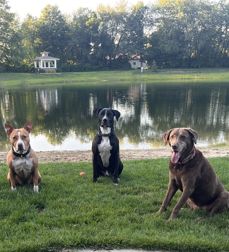 Tres Amigos 