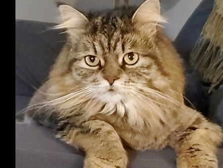 Frankie (Frances)