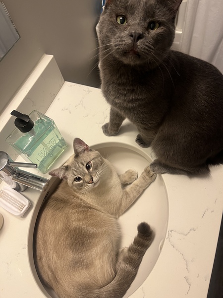 Beckett & Huxley