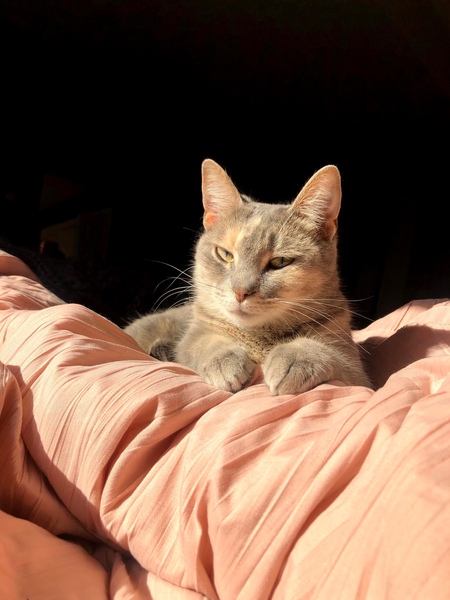 Luna