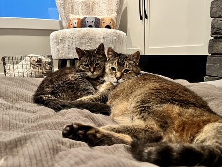 Mother and Daughter 