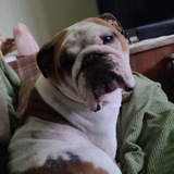 Entry image for Penny