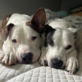 Entry image for Maui & Kona