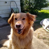 Entry image for Spencer Percy 