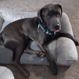 Entry image for Slate 