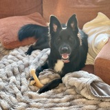 Entry image for Layla