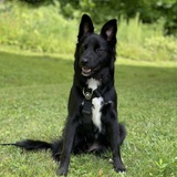 Entry image for Layla