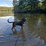 Entry image for Xena