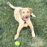 Entry image for Fred