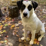 Entry image for Winnie