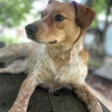 Entry image for Bree