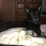 Entry image for Jack Viegas