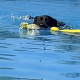 Entry image for Colton