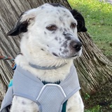 Entry image for Colby 