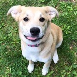 Entry image for Luna