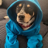 Entry image for Moseley