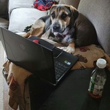 Entry image for Bob Barker