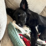 Entry image for Dudley