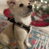 Entry image for Stanley