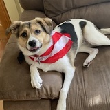 Entry image for Ellie