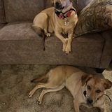 Entry image for Amber & Miley