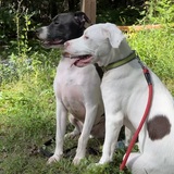 Entry image for Mookie and Jackson