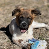 Entry image for Bailey 