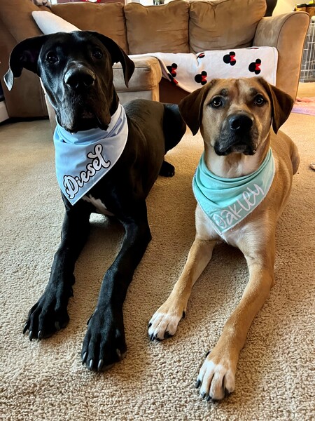 Entry image for Diesel and Oakley. Clicking this image will show a larger photo