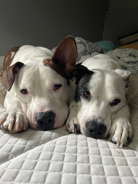 Entry image for Maui & Kona. Clicking this image will show a larger photo