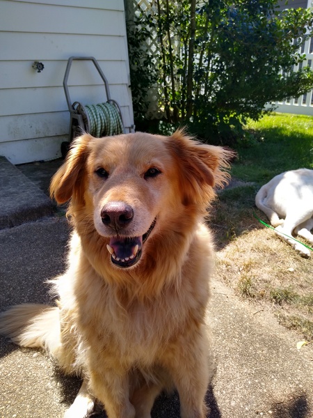 Entry image for Spencer Percy . Clicking this image will show a larger photo