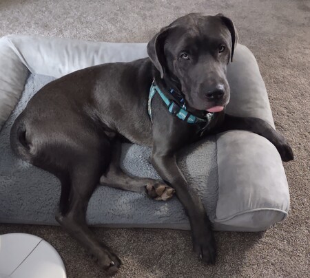 Entry image for Slate . Clicking this image will show a larger photo