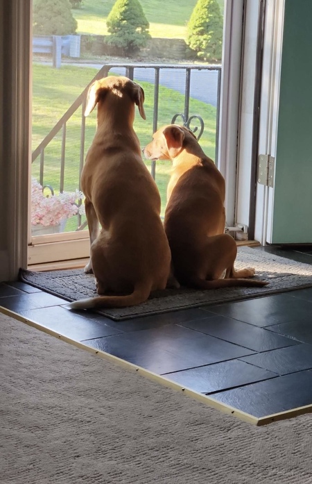 Entry image for Sally & Edith . Clicking this image will show a larger photo