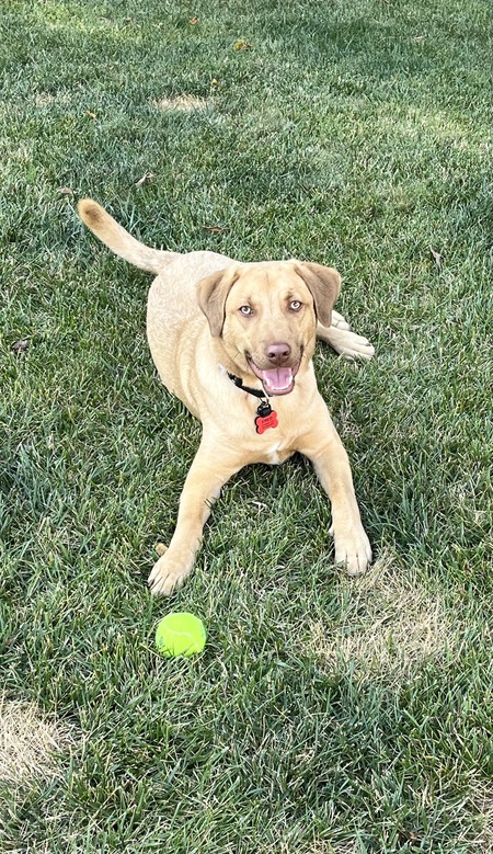 Entry image for Fred. Clicking this image will show a larger photo