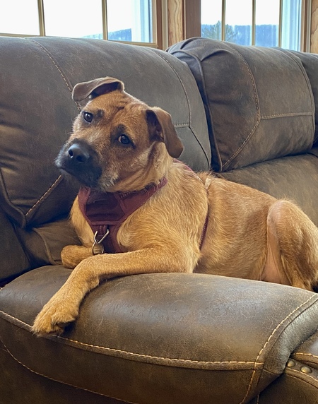 Entry image for Carley Jo. Clicking this image will show a larger photo