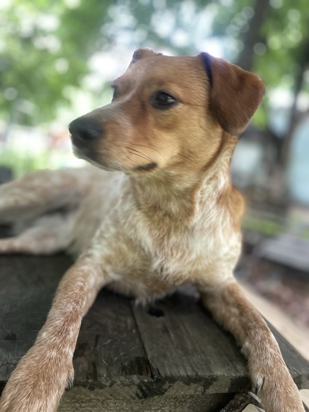 Entry image for Bree. Clicking this image will show a larger photo