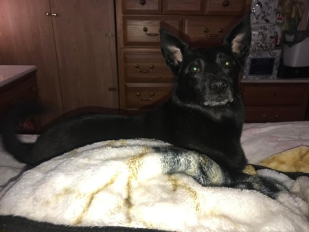 Entry image for Jack Viegas. Clicking this image will show a larger photo