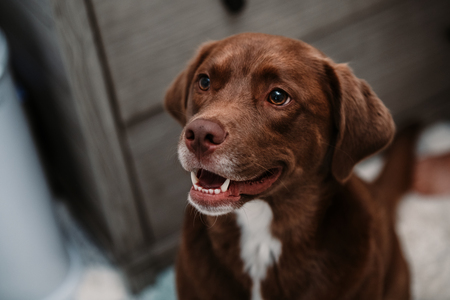 Entry image for Calvin . Clicking this image will show a larger photo