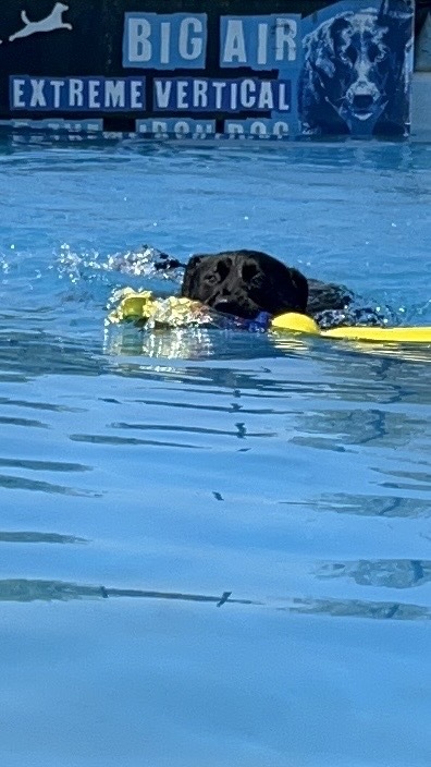 Entry image for Colton. Clicking this image will show a larger photo