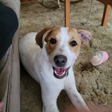 Entry image for Twila. Clicking this image will show a larger photo